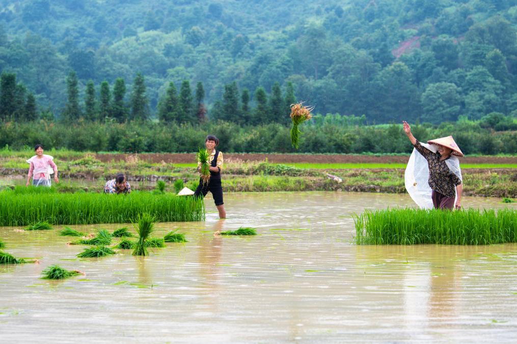 ????? ????? ????? ?? ?????