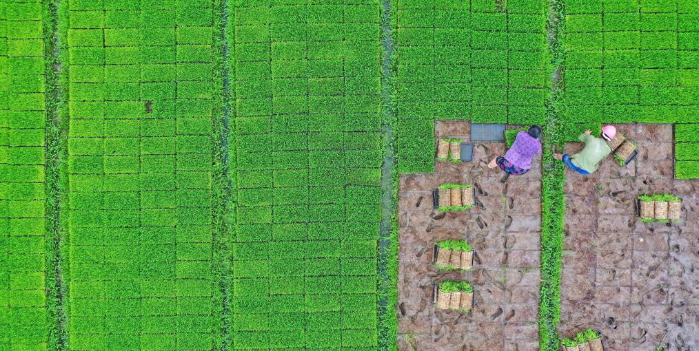 ????? ????? ????? ?? ?????