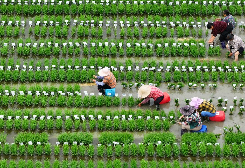 ????? ????? ????? ?? ?????