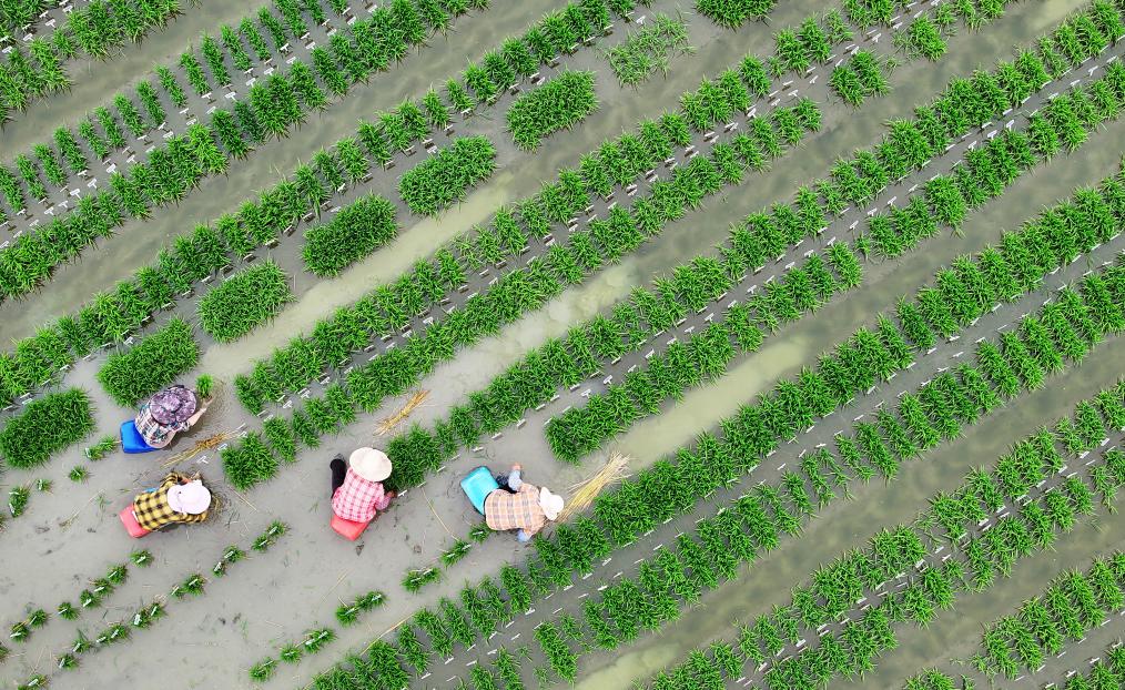 ????? ????? ????? ?? ?????