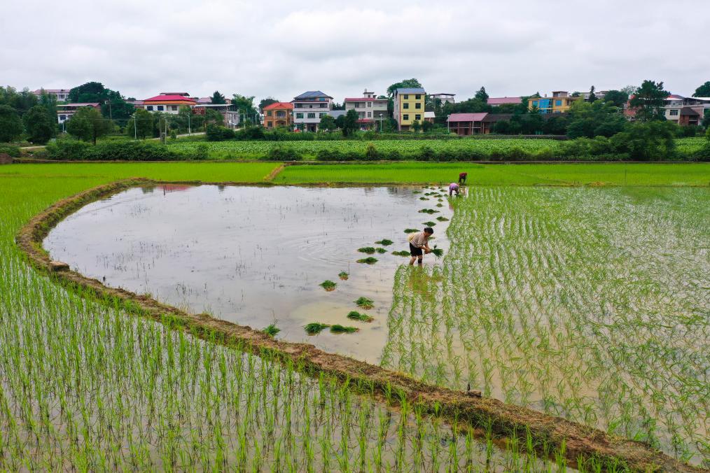 ????? ????? ????? ?? ?????