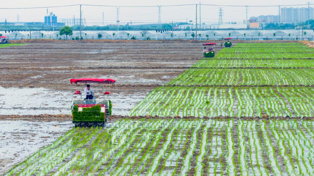 ????? ????? ????? ?? ?????