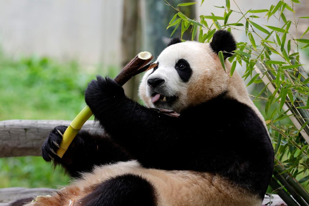 ??????? ???????? ??????? ?? ??? ????? ??????? ?? ???? ???? ?????