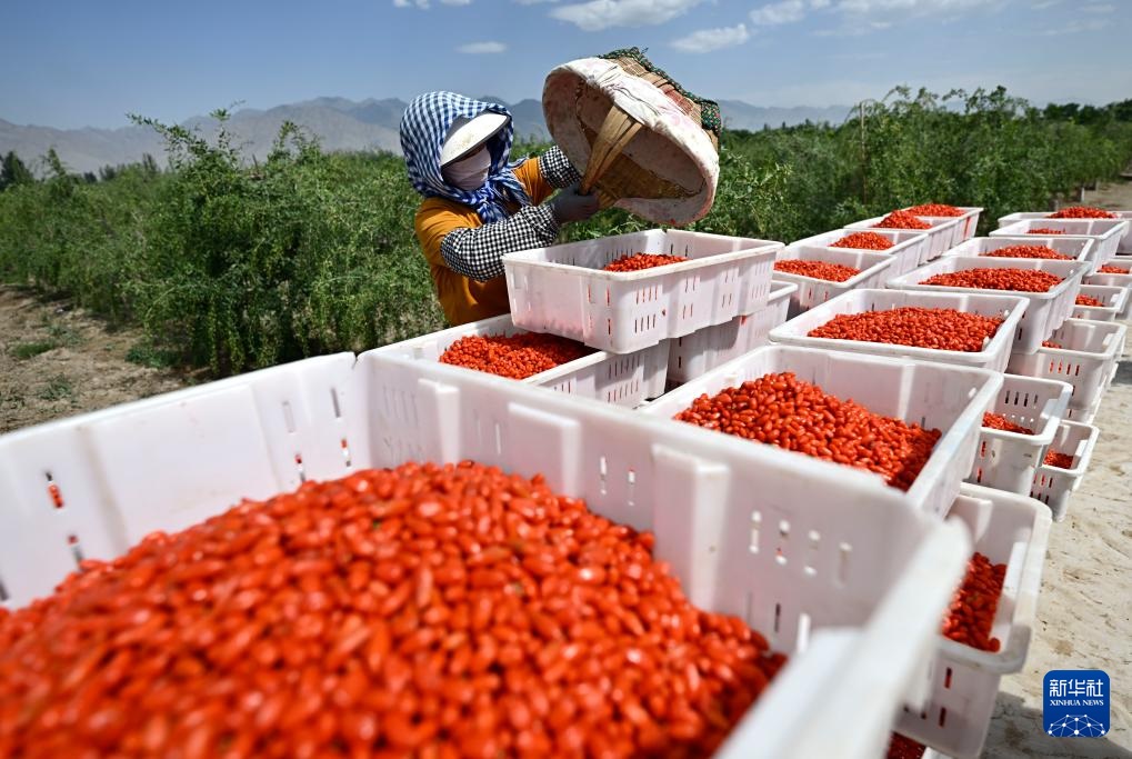 ???? ??? ?????? ????? ??? ????? ?????? ???? ????? ?? ???????