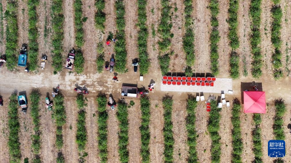 ???? ??? ?????? ????? ??? ????? ?????? ???? ????? ?? ???????