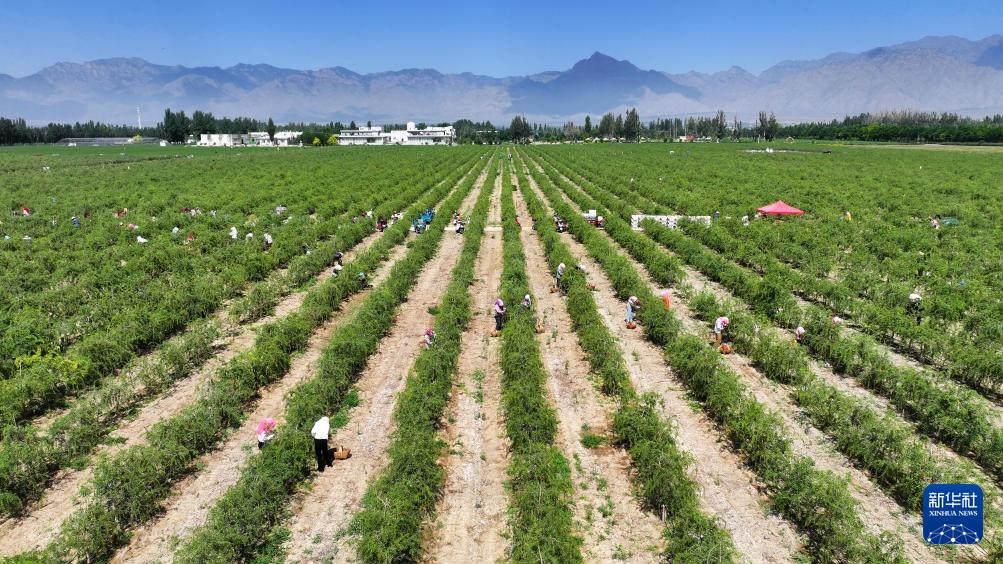 ???? ??? ?????? ????? ??? ????? ?????? ???? ????? ?? ???????