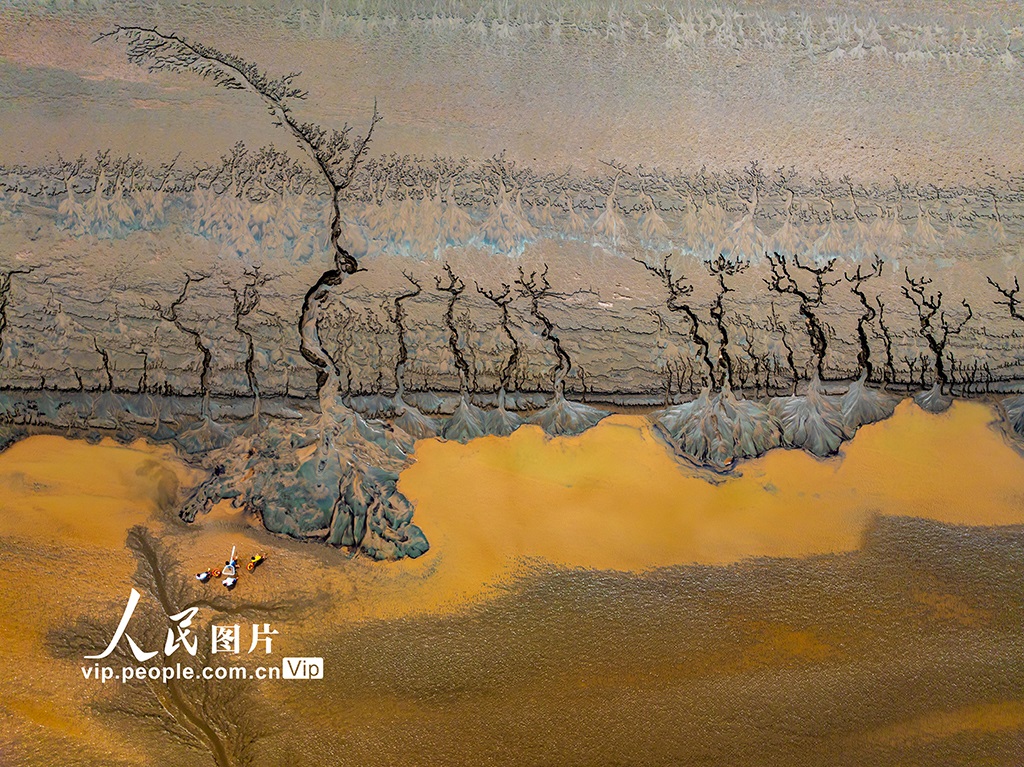 ??? ????????? ???? ?????? ??? ?????? ?? ????? ????? ????