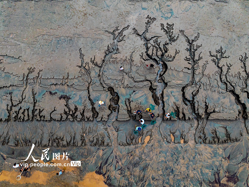 ??? ????????? ???? ?????? ??? ?????? ?? ????? ????? ????