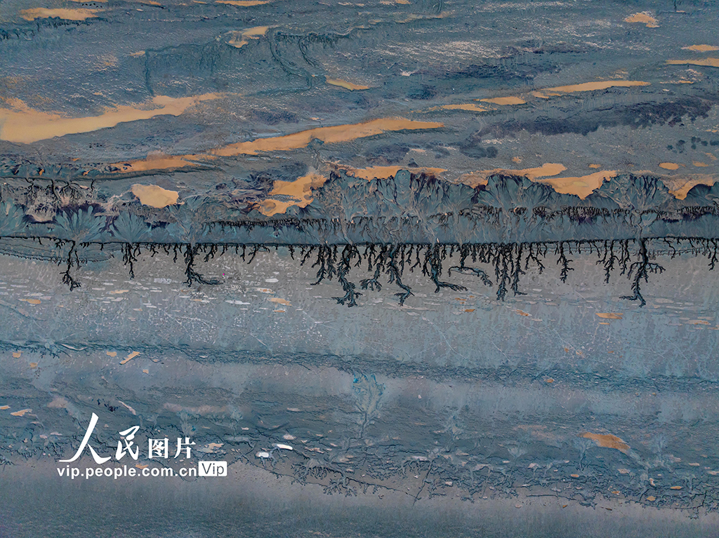 ??? ????????? ???? ?????? ??? ?????? ?? ????? ????? ????