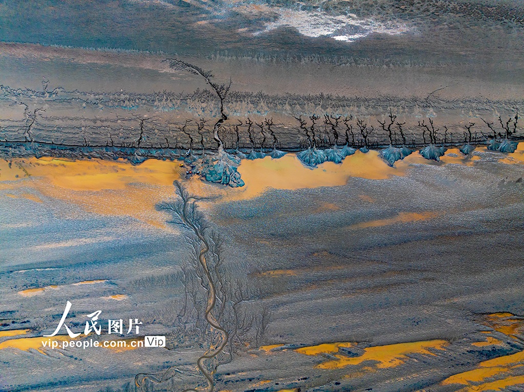 ??? ????????? ???? ?????? ??? ?????? ?? ????? ????? ????