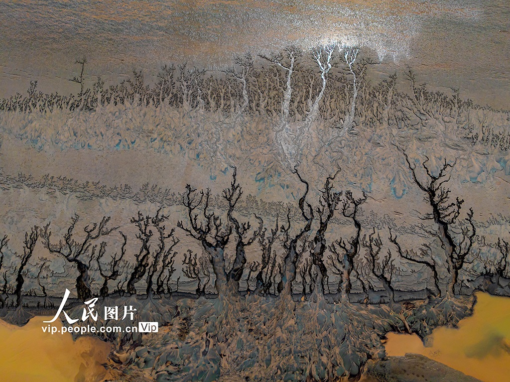 ??? ????????? ???? ?????? ??? ?????? ?? ????? ????? ????