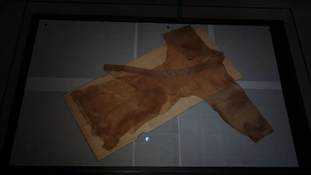 ???? ??? .. ??? ??? ??????? ???????? ?? ????? ????????? ???? 48 ?????? ???