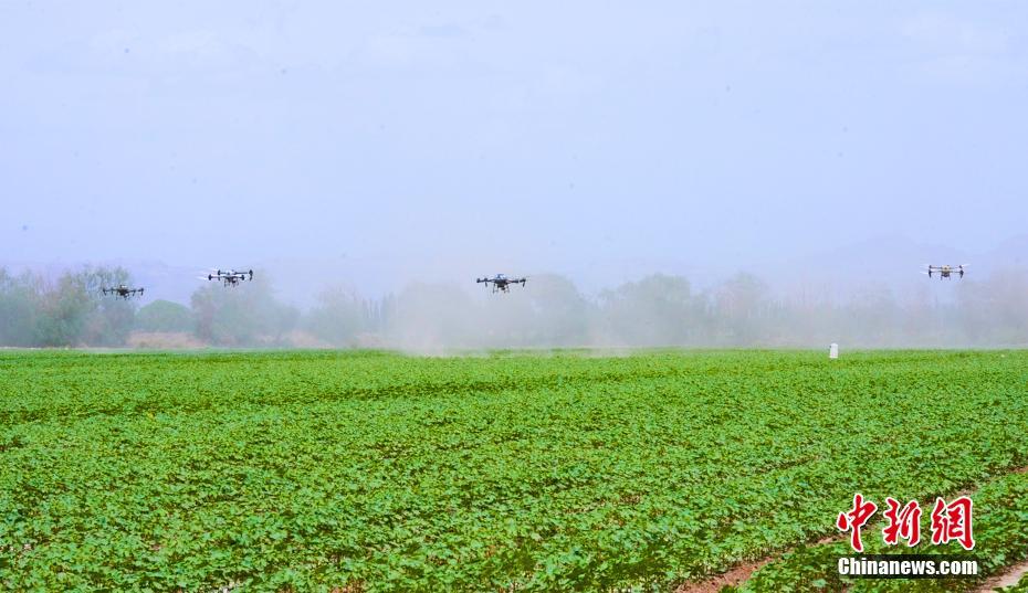 ???? ????? ?????? ?????? ????? ??? ???? ????? ?????????