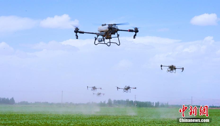 ???? ????? ?????? ?????? ????? ??? ???? ????? ?????????