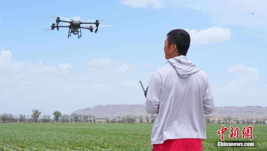 ???? ????? ?????? ?????? ????? ??? ???? ????? ?????????