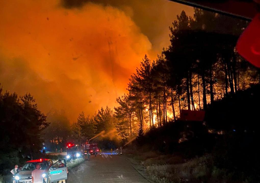 ??????: ???? ???? ?? ?????? ??? ???? ???????