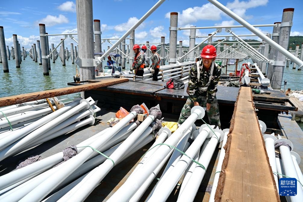 ??????: ???? ????? ???? ??? ????? ???????? ?????? ???????