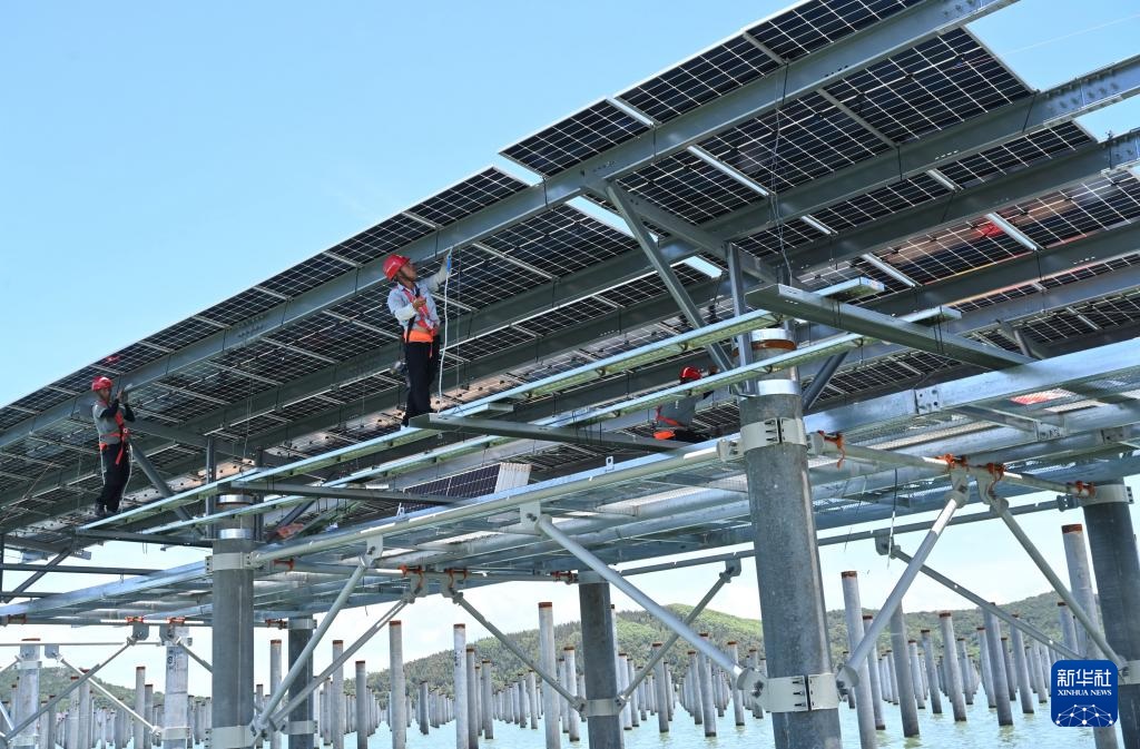 ??????: ???? ????? ???? ??? ????? ???????? ?????? ???????