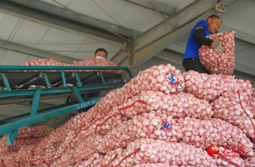 ????? ???????: ???? ???? ????? ????? ?? ?????? ????? ????? ??????? ????? ??? ??????