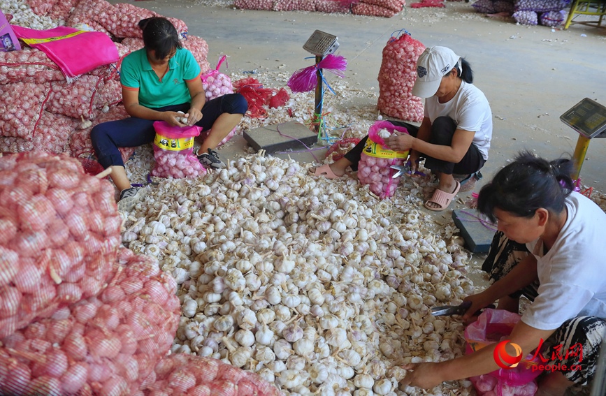 ????? ???????: ???? ???? ????? ????? ?? ?????? ????? ????? ??????? ????? ??? ??????