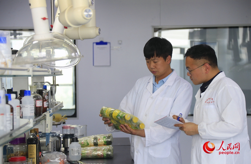 ????? ???????: ???? ???? ????? ????? ?? ?????? ????? ????? ??????? ????? ??? ??????