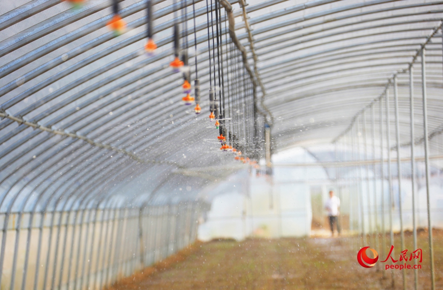 ???? ?? 8 ???? ????? ?????? ?? ?????? ??? ?????? ??????? ?? ????? ????