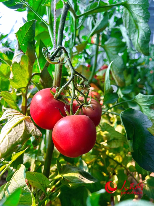 ???? ?? 8 ???? ????? ?????? ?? ?????? ??? ?????? ??????? ?? ????? ????