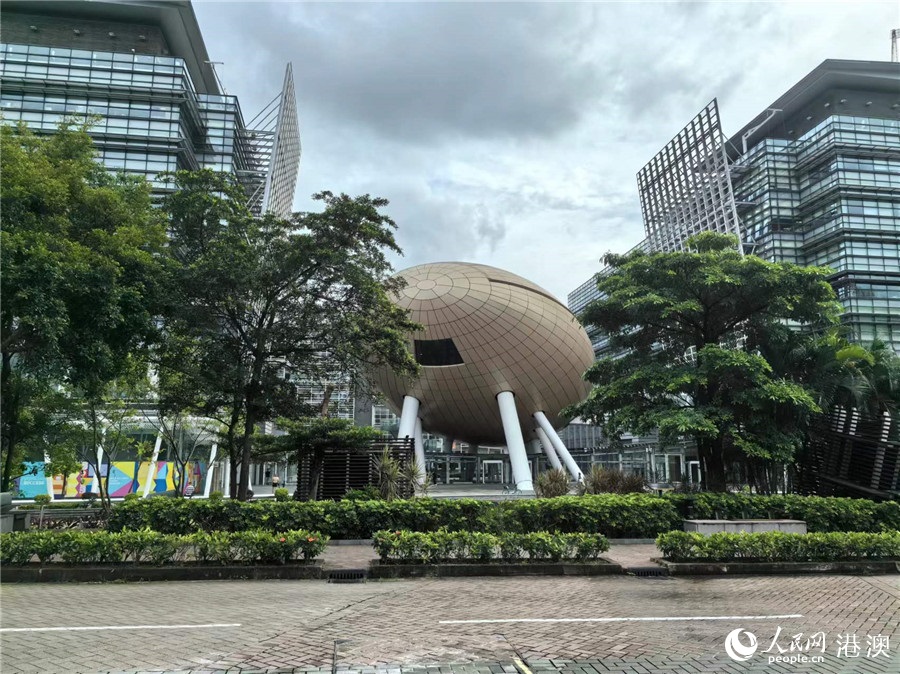 ????? ???? ???? ?????? .. ???? ?????? ????? ??????? ??????