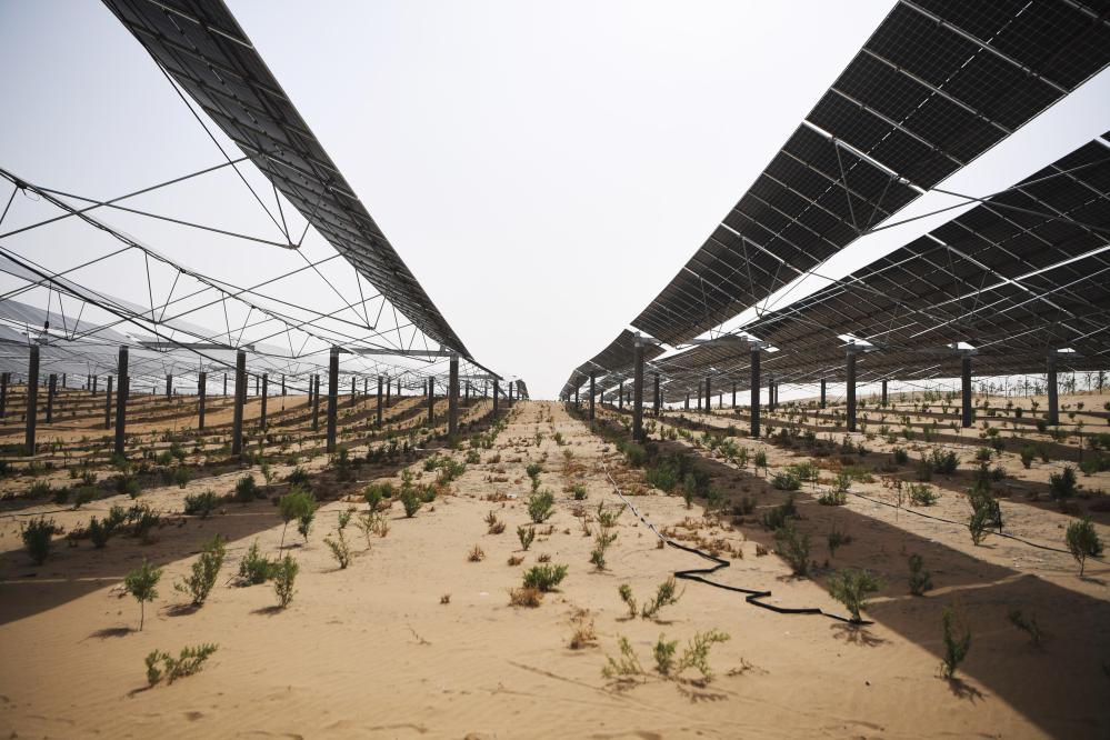 ?????: ????? ???? ??????? ???? ????? ????? ?????? ???? ??? ??????? ??????????? ???????? ???????????