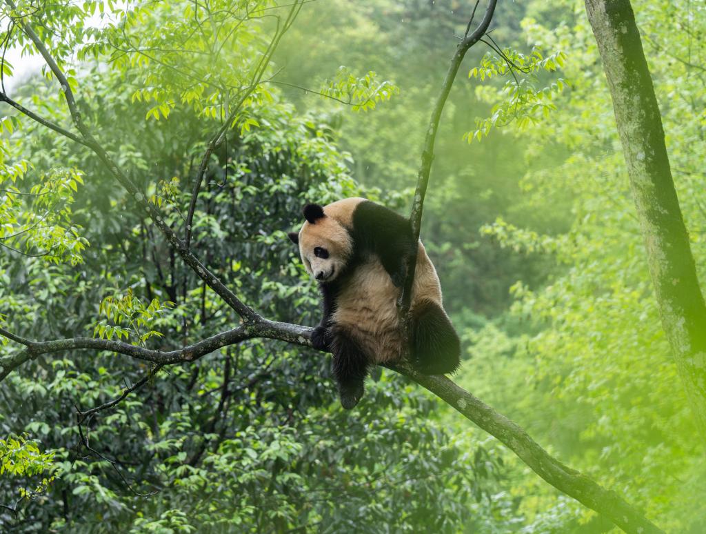 ????? ?? ??????? ??????? ???????? ??????? ??????? ????? ???? ????? ??? ???????? ???????