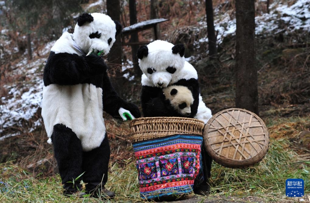 ????? ???? ?????? ?? ??????? ??? ??????