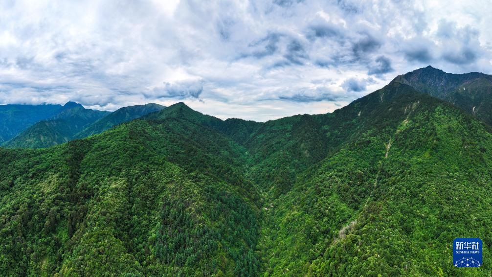 ????? ???? ?????? ?? ??????? ??? ??????