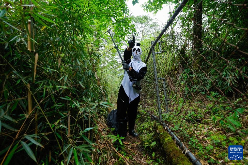 ????? ???? ?????? ?? ??????? ??? ??????