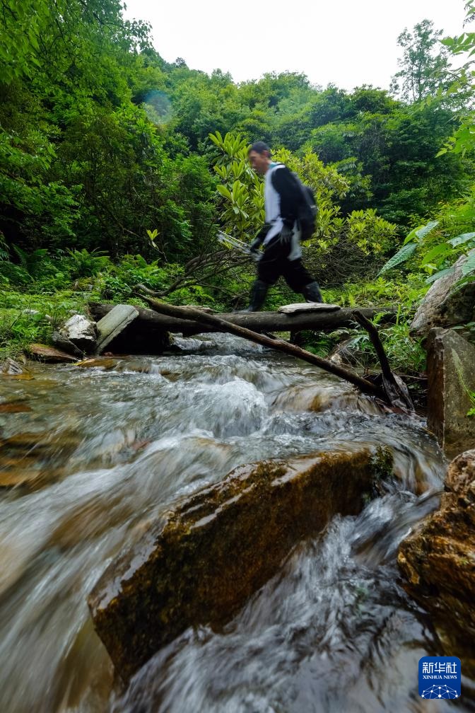 ????? ???? ?????? ?? ??????? ??? ??????