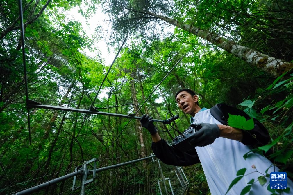 ????? ???? ?????? ?? ??????? ??? ??????