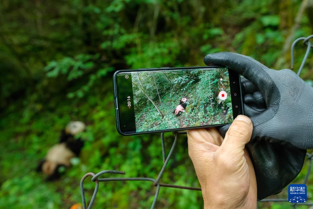 ????? ???? ?????? ?? ??????? ??? ??????