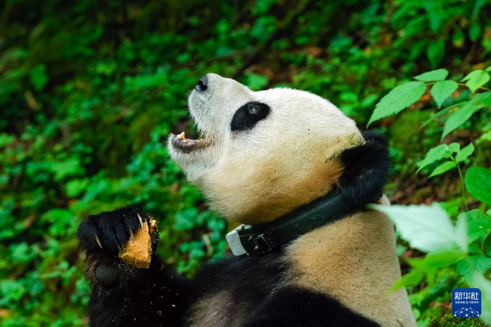 ????? ???? ?????? ?? ??????? ??? ??????