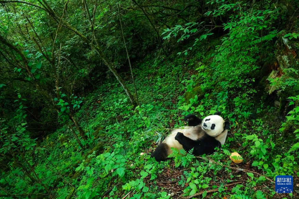 ????? ???? ?????? ?? ??????? ??? ??????