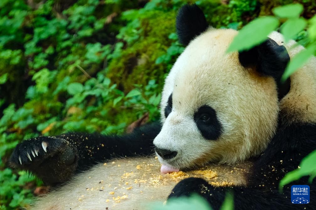 ????? ???? ?????? ?? ??????? ??? ??????