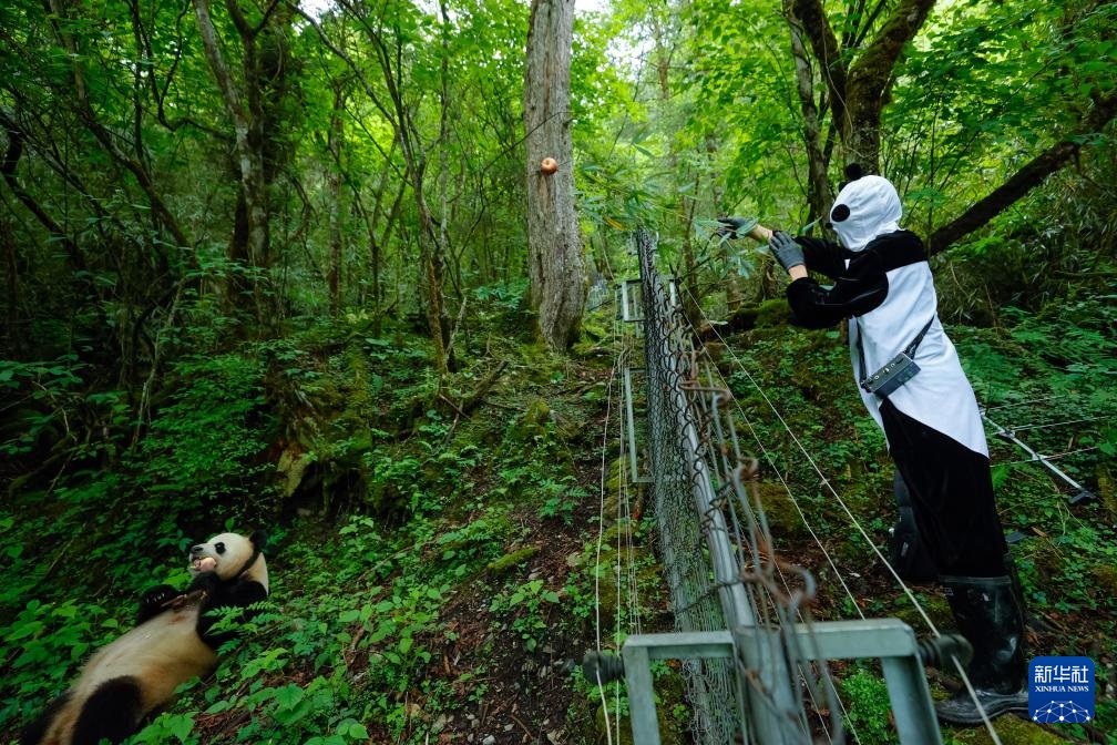 ????? ???? ?????? ?? ??????? ??? ??????