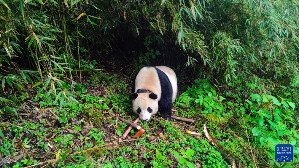 ????? ???? ?????? ?? ??????? ??? ??????