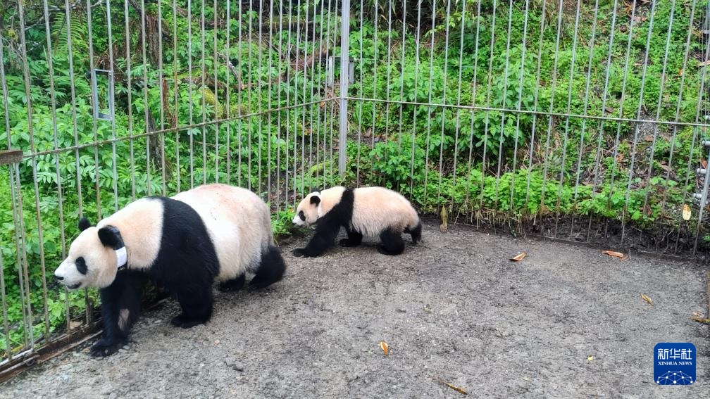 ????? ???? ?????? ?? ??????? ??? ??????