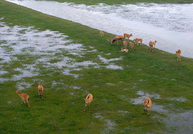 ????? ????? ?? ????? ????? ??????? ??????? ?????? 8 ???? ??? ??? ?????