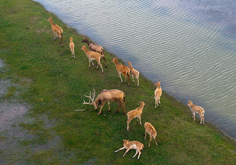 ????? ????? ?? ????? ????? ??????? ??????? ?????? 8 ???? ??? ??? ?????