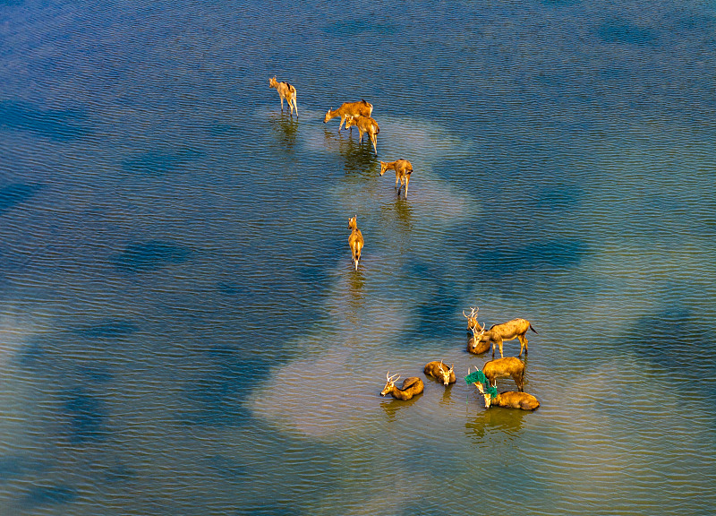 ????? ????? ?? ????? ????? ??????? ??????? ?????? 8 ???? ??? ??? ?????