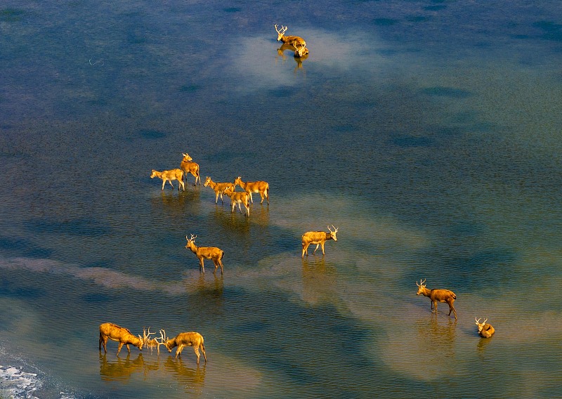 ????? ????? ?? ????? ????? ??????? ??????? ?????? 8 ???? ??? ??? ?????