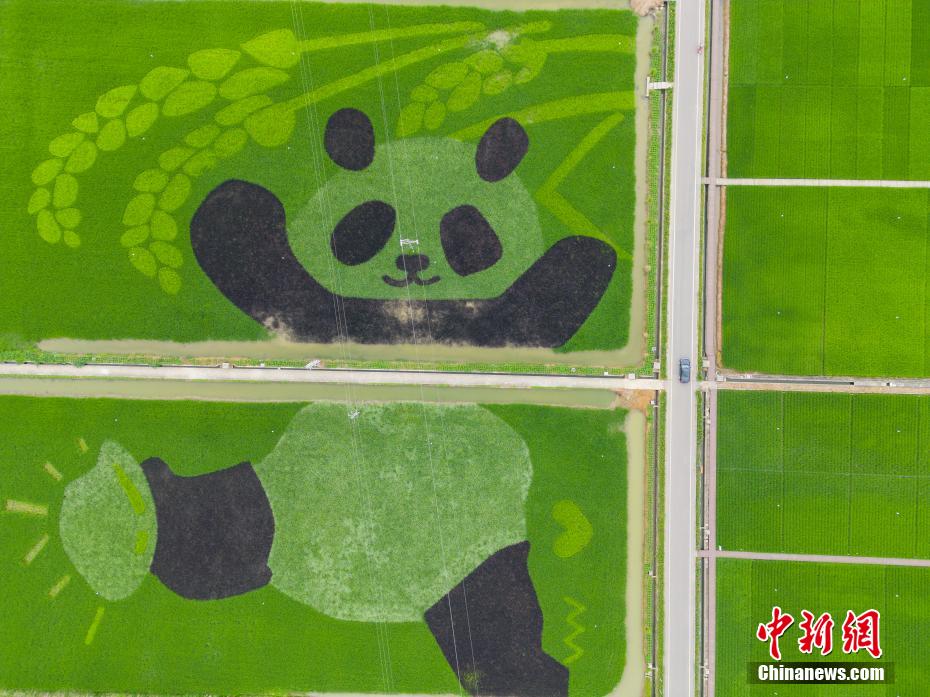 ??????: ????? ?????? ?????