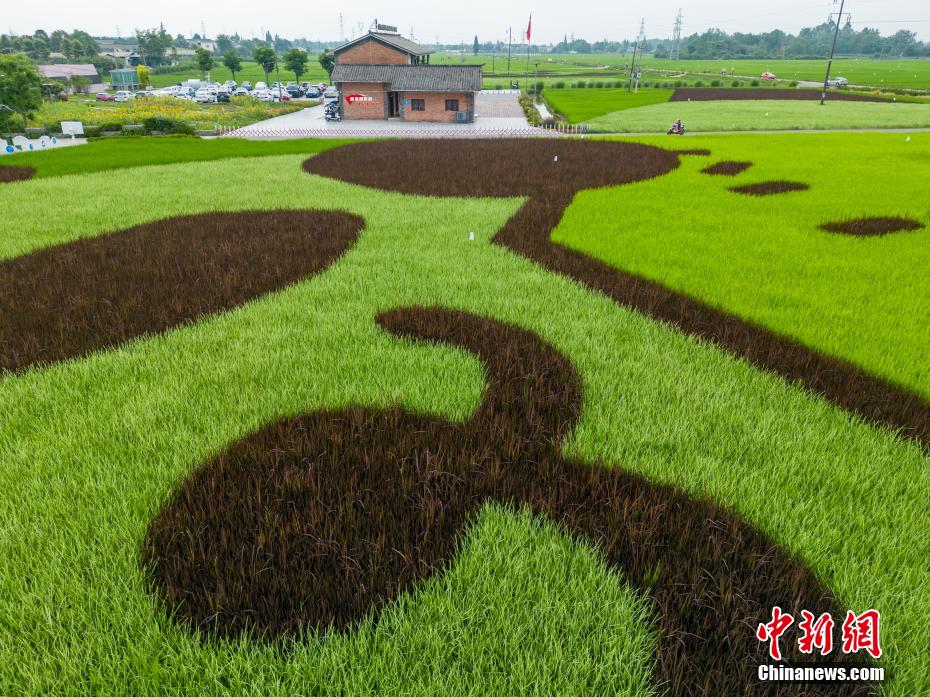 ??????: ????? ?????? ?????