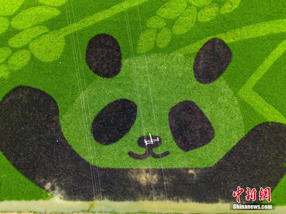 ??????: ????? ?????? ?????