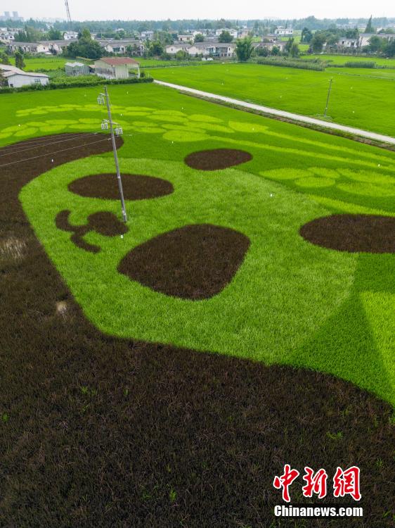 ??????: ????? ?????? ?????